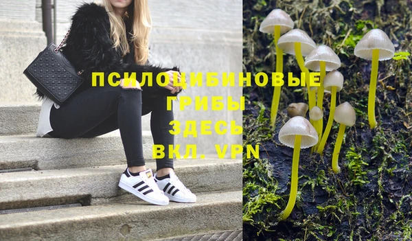 соль ск Волосово
