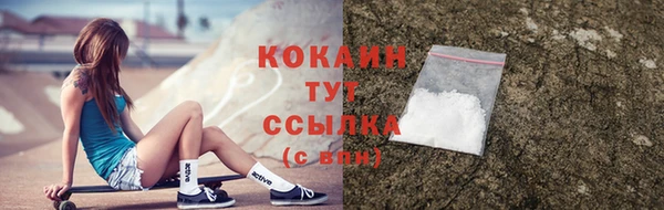 соль ск Волосово