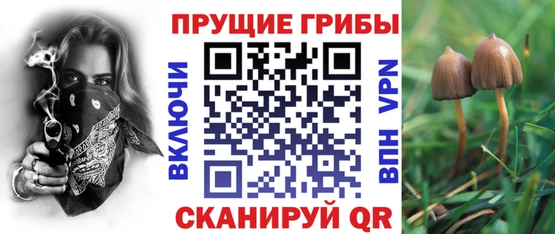 Галлюциногенные грибы мухоморы  Купить где  Сарапул 